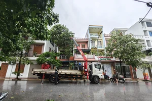 Hưng Yên chủ động ứng phó bão số 3: Cắt tỉa cây xanh, gia cố công trình