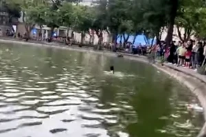 Công an thông tin vụ người phụ nữ đuối nước tử vong ở hồ Hoàn Kiếm