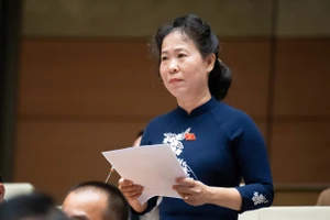 Đại biểu đề nghị Chính phủ trình gói tài chính khẩn cấp khắc phục hậu quả mưa lũ