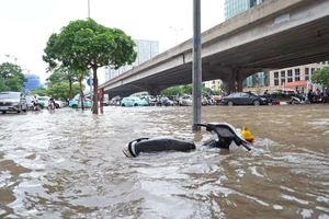 Chi hơn 5.500 tỉ đồng để người dân thoát khỏi cảnh 'sống chung với ngập'