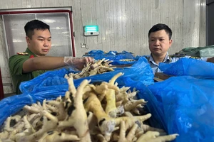 Khởi tố giám đốc buôn lậu 10.000 tấn chân gà đông lạnh