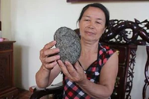 Cả làng xôn xao vì phát hiện 'vật lạ' trong bao tử heo