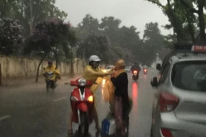 'Phát sốt' với cô gái dừng xe giữa trời mưa lớn mặc áo mưa cho cụ già