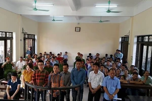 Số bị hại ít dần khi Minh 'sâm' cùng đồng phạm hầu tòa