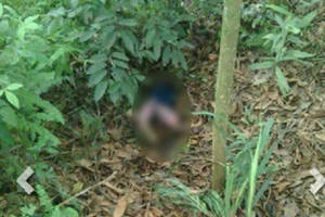 Phát hiện thi thể bé gái 3 tuổi trong bụi rậm