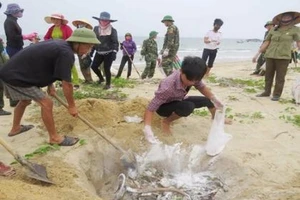 Có thể công bố nguyên nhân cá chết bất thường vào ngày 29-6