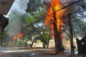 Hà Nội: Cột điện bất ngờ bốc cháy ngùn ngụt giữa trời nắng gắt
