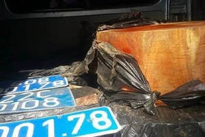 Nhặt được biển xanh, gắn vào ô tô để chở gỗ lậu