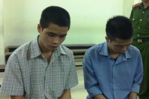 Trộm cá cảnh, cướp túi xách rồi đâm chết chủ quán cà phê