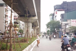 'Trồng cây dưới gầm đường sắt là chuyện bình thường'