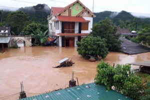 2 thứ trưởng Bộ GTVT vào miền Trung chống lũ