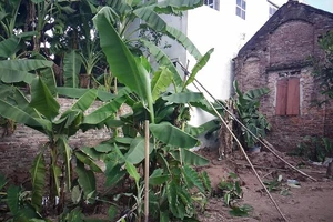 Thông tin mới nhất vụ hai bé gái bị chôn trong vườn