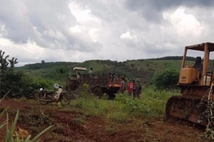  Vụ nổ súng ở Đắk Nông: Tạm giam GĐ Công ty Long Sơn