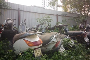 Xót xa nhìn xế hộp, xe ga phơi mình cho cỏ mọc