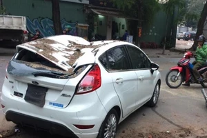 Cây cổ thụ bật gốc, đè bẹp ô tô tại Hà Nội