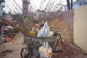 Chùm ảnh báo hiệu 'Tết đã hết!'