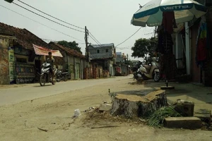 Chặt cây xanh để dẹp vỉa hè: “Quá máy móc”!