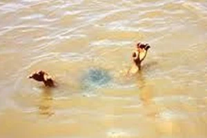 3 học sinh chết đuối thương tâm ở tuổi 17