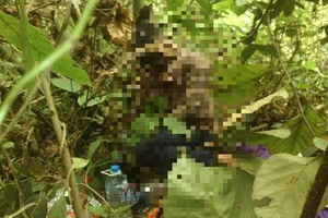 Nam thanh niên chết trong tư thế ngồi ở bụi tre