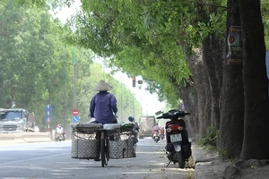 Chặt 1.300 cây trên đường Phạm Văn Đồng để mở đường