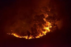 Chùm ảnh cháy rừng Sóc Sơn lớn nhất trong lịch sử