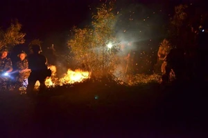 Công an điều tra vụ cháy lịch sử ở rừng Sóc Sơn 