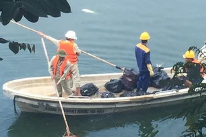 Hà Nội: Cá lại chết ở hồ Hoàng Cầu