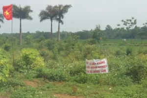 Ngày mai xử 14 cán bộ Đồng Tâm sai phạm về đất đai