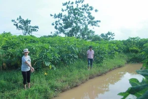 Điều tra vụ bé trai tử vong dưới rãnh nước