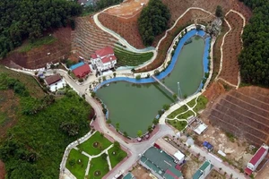 Vụ biệt phủ Yên Bái: Ngày 4-8 có kết luận chính thức