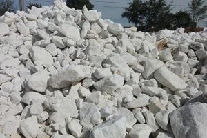 Trưởng công an TP.Thái Bình bị hắt vôi bột vào người