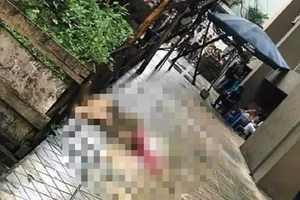 Người phụ nữ rơi từ tầng 20 của chung cư xuống đất