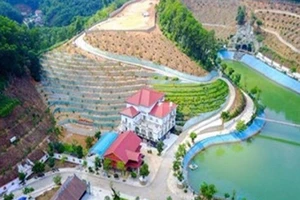 Phạt 500 triệu và cho tồn tại 'biệt phủ' Yên Bái