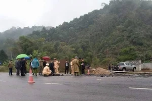 Tài xế tông chết 5 công nhân đã ra trình diện