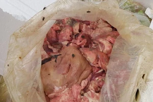 3 tạ nội tạng thối suýt đầu độc dân ngày Tết