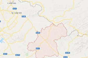 2 cha con nghi bị sát hại khi đi tìm mật ong rừng