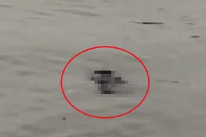 Thi thể nam giới nổi trên mặt hồ Tây