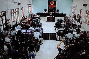 Út 'trọc' và đồng phạm đã câu kết phạm tội ra sao?