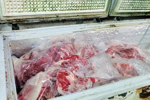 Hải quan lý giải việc đấu giá 170 tấn thịt trâu bị tịch thu