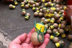 VKS kháng nghị tăng án tù 2 bị cáo người Trung Quốc