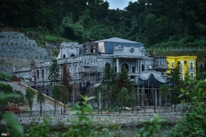 Chính thức thanh tra về quản lý đất rừng tại Sóc Sơn