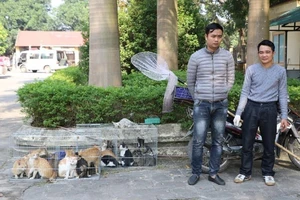 Hình sự mật phục bắt nhóm chuyên trộm mèo