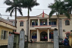 Hi hữu: Án dân sự của mẹ quyết định... hình phạt tù của con