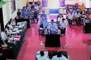 Vụ Hoàng Công Lương: Luật sư liên tục bị nhắc không hỏi sa đà