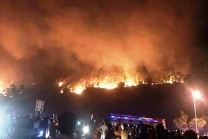 Liên tiếp cháy rừng, Bộ Công an chỉ đạo 'nóng'