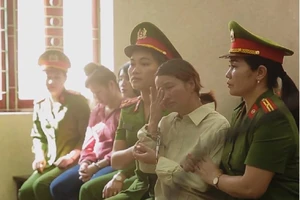 Mẹ nữ sinh giao gà ở Điện Biên bị phạt 20 năm tù