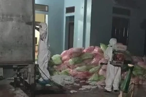 Gom 620 kg khẩu trang đã qua sử dụng với lý do khó hiểu