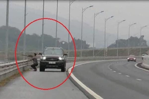 Tài xế bị tước bằng lái vì… dừng xe trên cao tốc để bắn chim