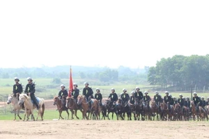 Kỵ binh Bộ Công an đã thuần hóa được hơn 60 con ngựa