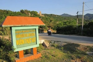 Thanh tra kiến nghị Thủ tướng kiểm điểm lãnh đạo Ninh Thuận